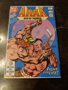 Arak, Son of Thunder #22 (1983)