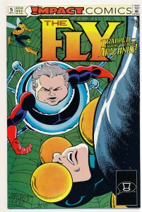 Fly (1991 Impact/DC) #1-17 VF-/NM Complete series