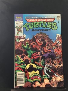 Teenage Mutant Ninja Turtles Adventures #34