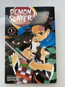 Demon Slayer: Kimetsu No Yaiba Ser.: Demon Slayer: Kimetsu No Yaiba, Vol. 1 NM