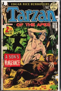 Edgar Rice Burroughs' Tarzan #208 (1972)