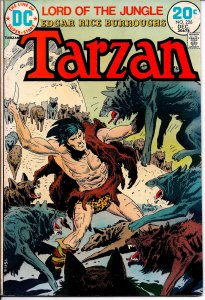 DC Comic! Tarzan! Issue #226!