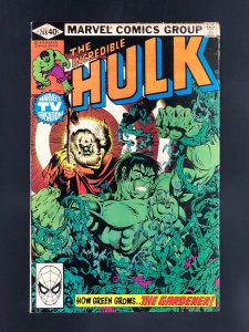 The Incredible Hulk #248 (1980)