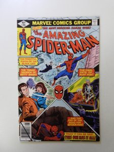 Amazing Spider-Man #195 2nd appearance of Black Cat VF condition