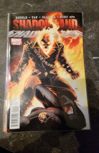 Shadowland #5 Standard Cover (2011)