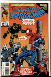 The Amazing Spider-Man #384 (1993) Spider-Man
