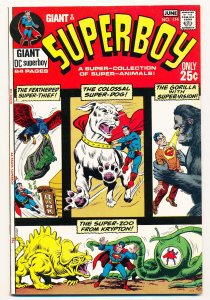 Superboy (1949) #174 FN+ Giant-sized issue