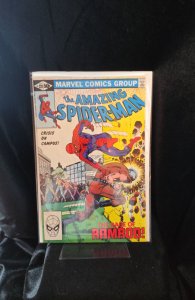 The Amazing Spider-Man #221 Direct Edition (1981) Spider-Man 