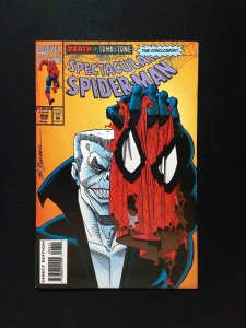 Spectacular Spider-Man #206  MARVEL Comics 1993 VF/NM