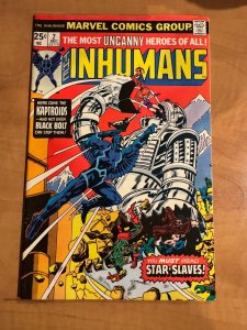 The Inhumans #2 (1975)