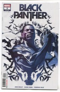 BLACK PANTHER (2021 MARVEL) #2 CVR A ALEX ROSS