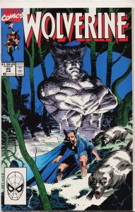 Wolverine #25 (1990) Wolverine