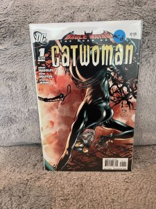 Bruce Wayne: The Road Home: Catwoman (2010)