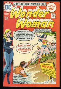 Wonder Woman #216