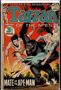 Edgar Rice Burroughs' Tarzan #209 (1972)