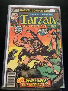 Tarzan #5 (1977)
