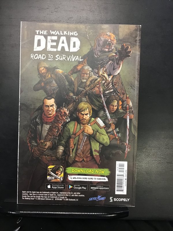 The Walking Dead #193 Second Printing Variant (2019) nm