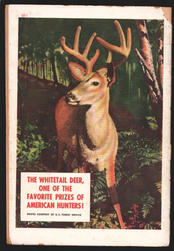 Bob Swift Boy Sportsman #3  1951 - Fawcett  -FN - Comic Book