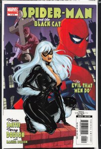 Spider-Man/Black Cat: The Evil that Men Do #4 (2006) Spider-Man