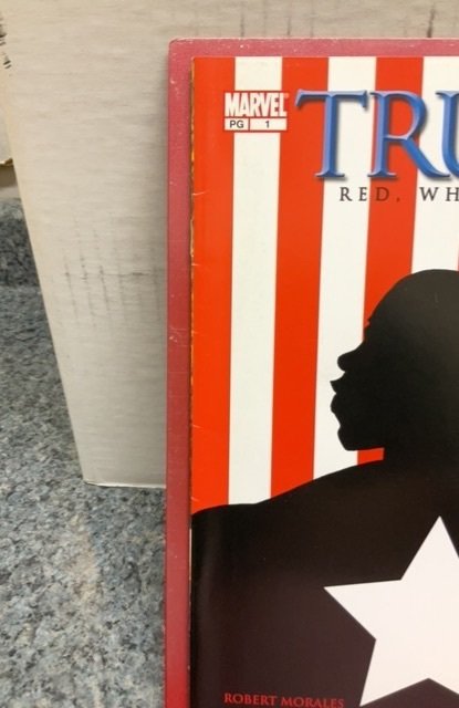 Truth: Red, White and Black #1 (2003)
