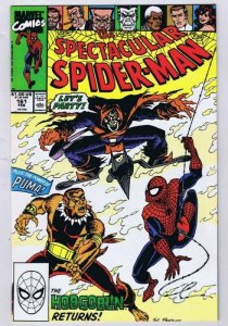 Spectacular Spider-Man #161 ORIGINAL Vintage 1990 Marvel Comics