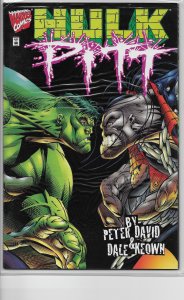 Hulk/Pitt #1 (1996)