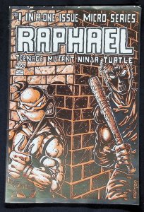Raphael Teenage Mutant Ninja Turtle (1984) FN 1/4 in spine split