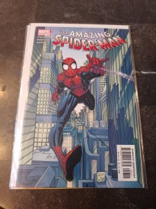 The Amazing Spider-Man #53 (2003)