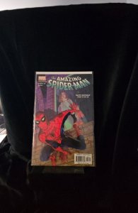 The Amazing Spider-Man #58 (2003)  