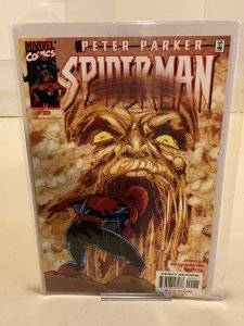 Peter Parker: Spider-Man #22  2000  9.0 (our highest grade)