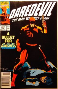 Daredevil #293 (1991) Newsstand
