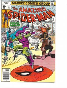 Marvel Comics! The Amazing Spider-Man! Issue #177!