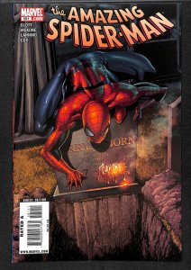 The Amazing Spider-Man #581 (2009)