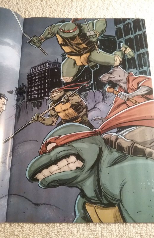 Teenage Mutant Ninja Turtles