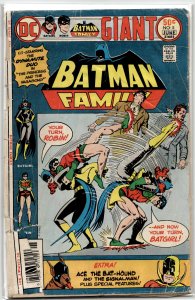 The Batman Family #5 (1976) Batgirl and Robin