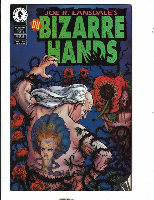 6 Comics Sex Warrior 2 Decapitator 2 1 4 Bizarre Hands 1 Hellboy Golden Arm J309