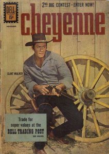Cheyenne #24, Fine- (Stock photo)