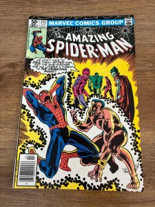 Amazing Spider-Man # 215 NM Marvel Comic Book Goblin Kingpin Mary Jane 2 J438