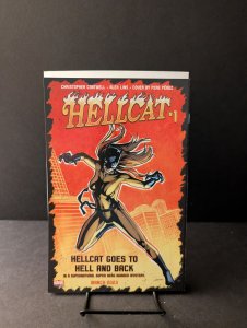 The Amazing Spider-Man #18 Ed McGuinness 1:25 Variant (2023)