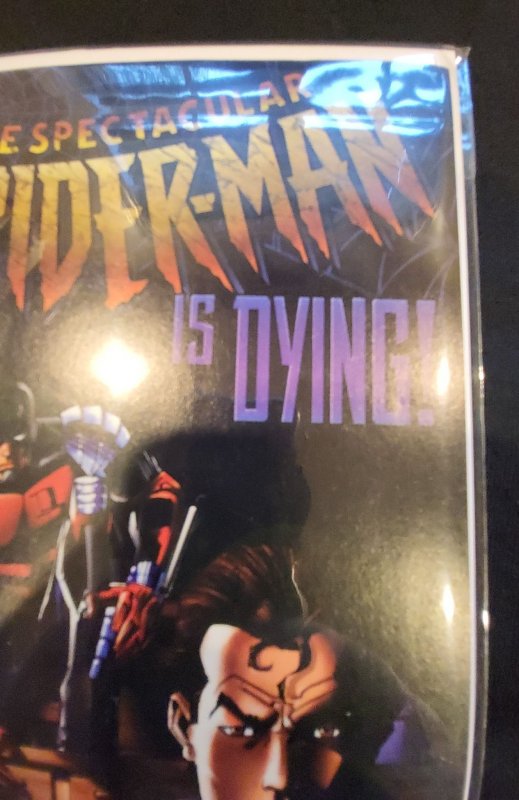 The Spectacular Spider-Man #219 Newsstand Edition (1994)