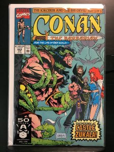 Conan the Barbarian #243 (1991)