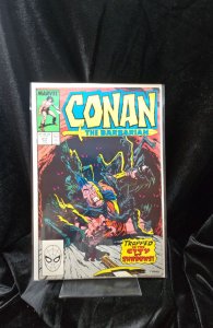 Conan the Barbarian #217 Direct Edition (1989) Conan 