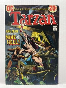 Tarzan #215 1972 DC