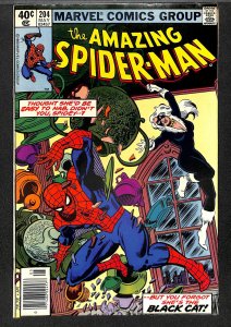 Amazing Spider-Man #204 FN/VF 7.0 Black Cat! Marvel Comics Spiderman