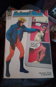 Animal Man #19 (1990) Animal Man 