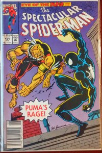 The Spectacular Spider-Man #191 NEWSSTAND (VF/NM)(1992)