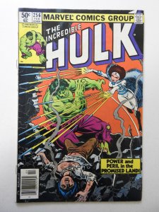 The Incredible Hulk #256 (1981) VG Condition