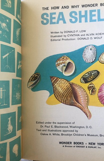 The how and why wonder book of seashells, 1961,mint