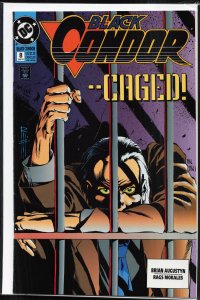 Black Condor #8 (1993) Black Condor
