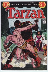 TARZAN #217 - 5.5 - WP - Kubert